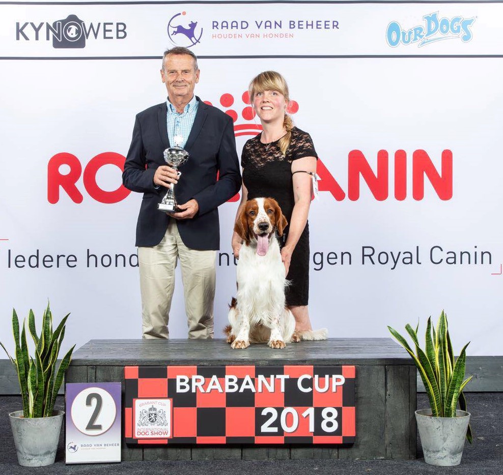 Brabantcup 2e Best junior in show