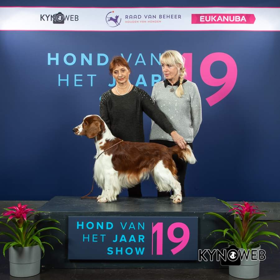 HvhJ show 2019 Nicky Lynley van Lindestate