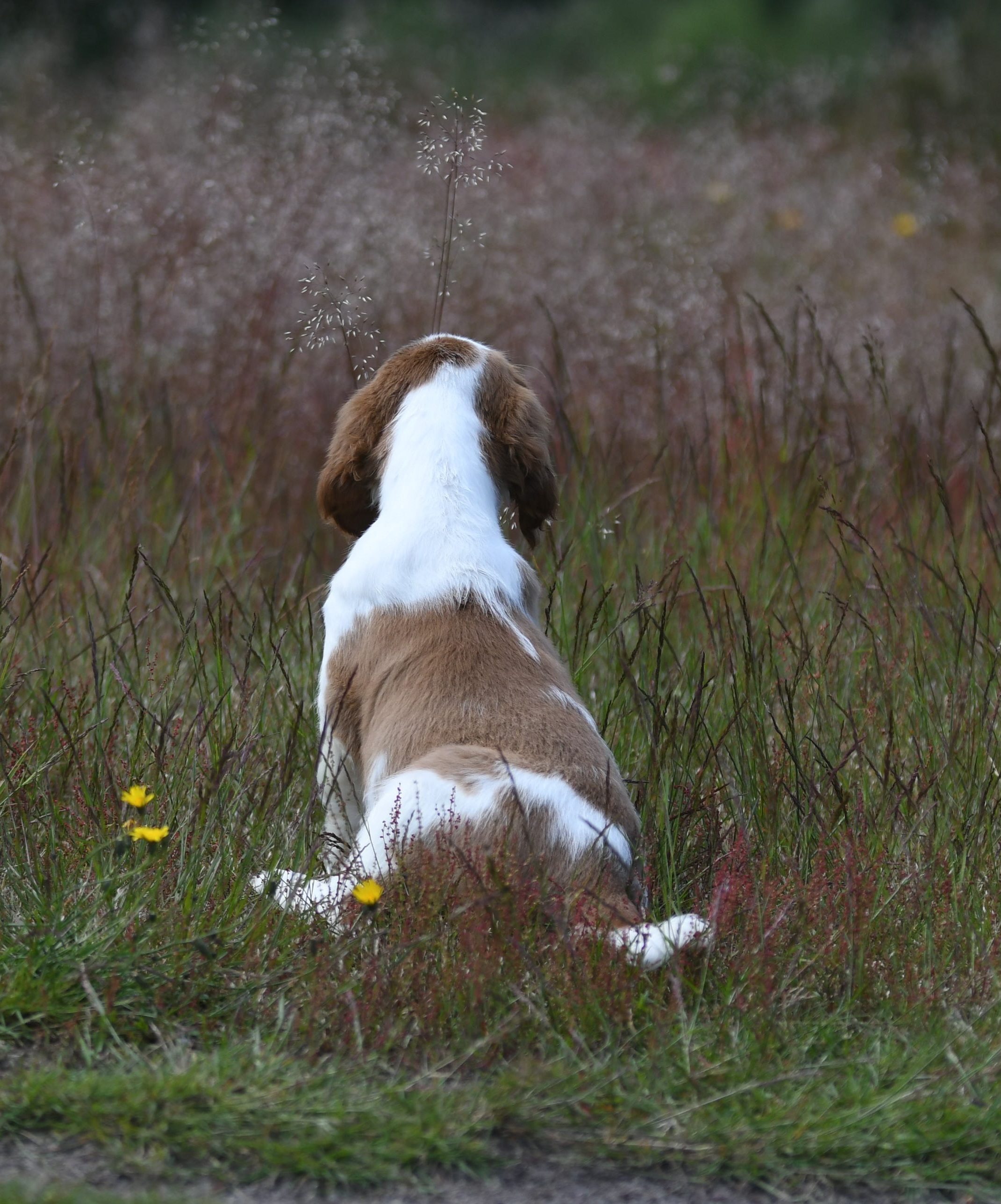 DSC_1105.jpg