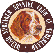 Welsh Springer Spaniel Club